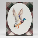 Mallard canvas art print