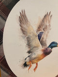 Mallard canvas art print
