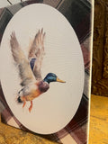 Mallard canvas art print