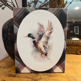 Mallard canvas art print