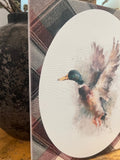 Mallard canvas art print