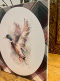 Mallard canvas art print