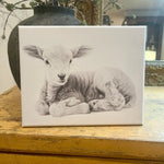 Baby Lamb sketch canvas art print