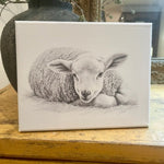 Baby lamb sketch canvas art print