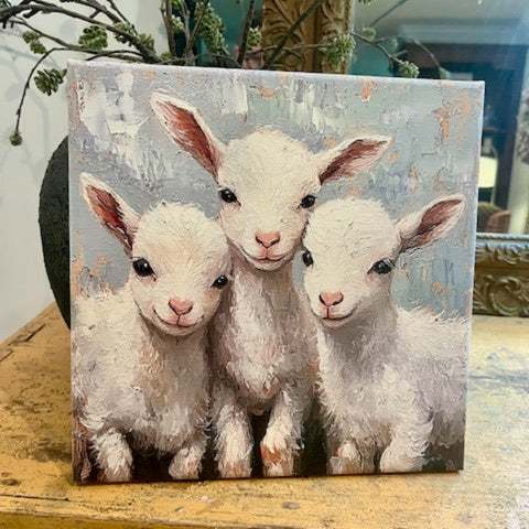 3 little lambs canvas art print