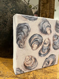 Oyster canvas