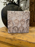 Oyster canvas