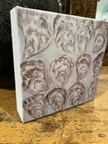 Oyster canvas