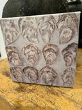Oyster canvas