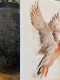 Mallard canvas art print