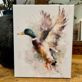 Mallard canvas art print
