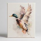 Mallard canvas art print