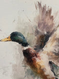Mallard canvas art print