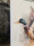 Mallard canvas art print