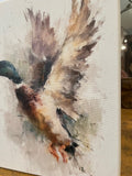 Mallard canvas art print