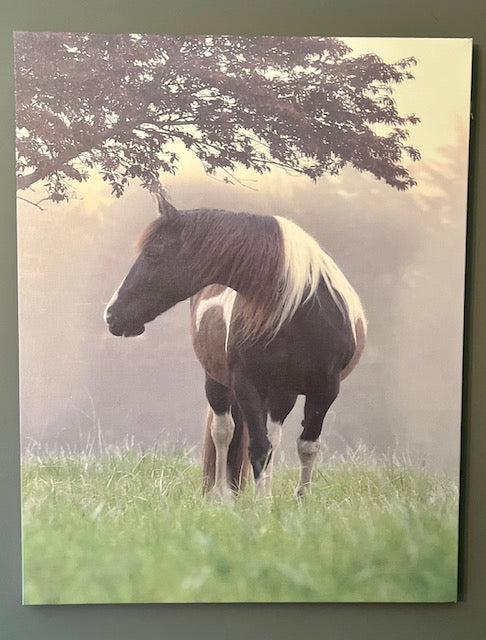 Foggy morning Canvas art Print, Horse wall hanging