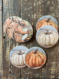 Fall Coaster Set