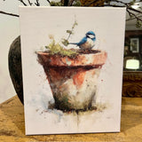 Bluebird perched on a clay pot canvas art print