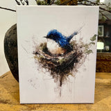 Bluebird perched in a nest canvas art print