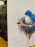 Bluebird perched in a nest canvas art print