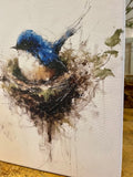 Bluebird perched in a nest canvas art print