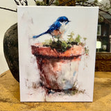 Bluebird perched on a clay pot canvas art print