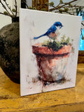 Bluebird perched on a clay pot canvas art print
