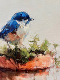 Bluebird perched on a clay pot canvas art print