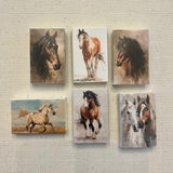 Equestrian art set of 6 matchboxes