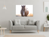 Horse canvas art print