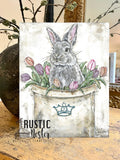 Bunny canvas art print