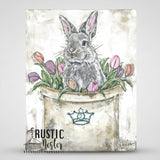 Bunny canvas art print