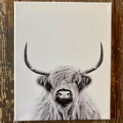 Highland Cow Farmhouse Canvas Art Print