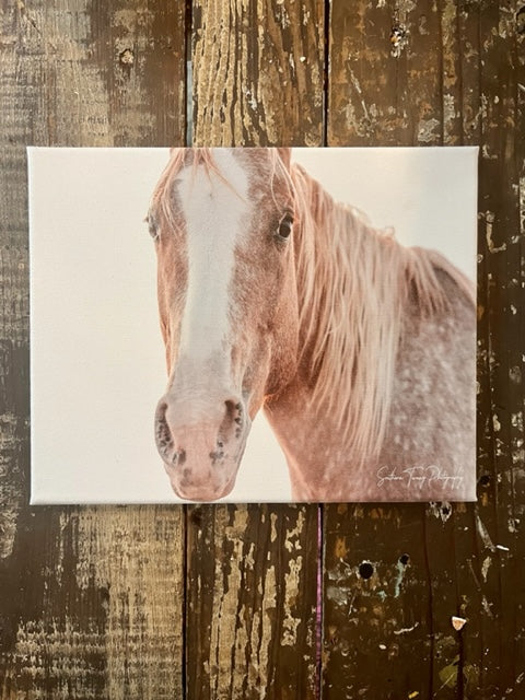 Horse canvas art print, equestrian home decor, Western wal art