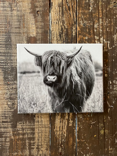 Highland canvas art print, black and white cow photography, Farmhouse home decor, Western