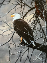 Load image into Gallery viewer, Bald Eagle Photography canvas art print, Nature decor, Naturescape wall art

