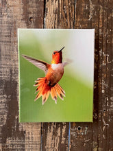 Load image into Gallery viewer, Hummingbird canvas art print, Nature home decor
