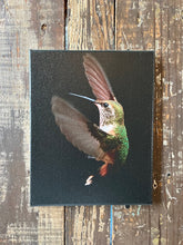 Load image into Gallery viewer, Hummingbird photography canvas art print,  Nature home decor
