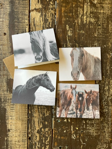 Horse notecards, Equestrian blank card set, stationery set