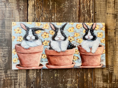 Bunny canvas art print