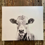 black and white baby cow photography anvas print