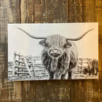 black and white photograph canvas of highland cow