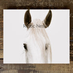 Horse Equestrian Canvas Art Print