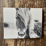 Horse canvas art print